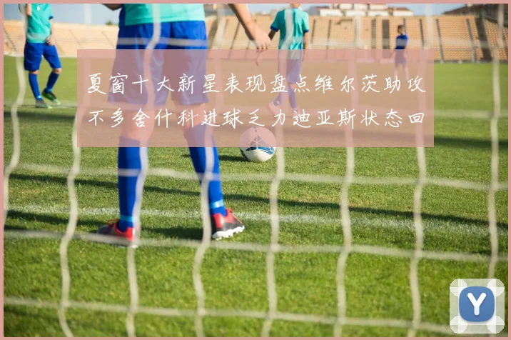 夏窗十大新星表现盘点维尔茨助攻不多舍什科进球乏力迪亚斯状态回暖