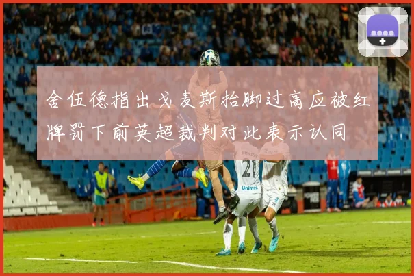 舍伍德指出戈麦斯抬脚过高应被红牌罚下前英超裁判对此表示认同